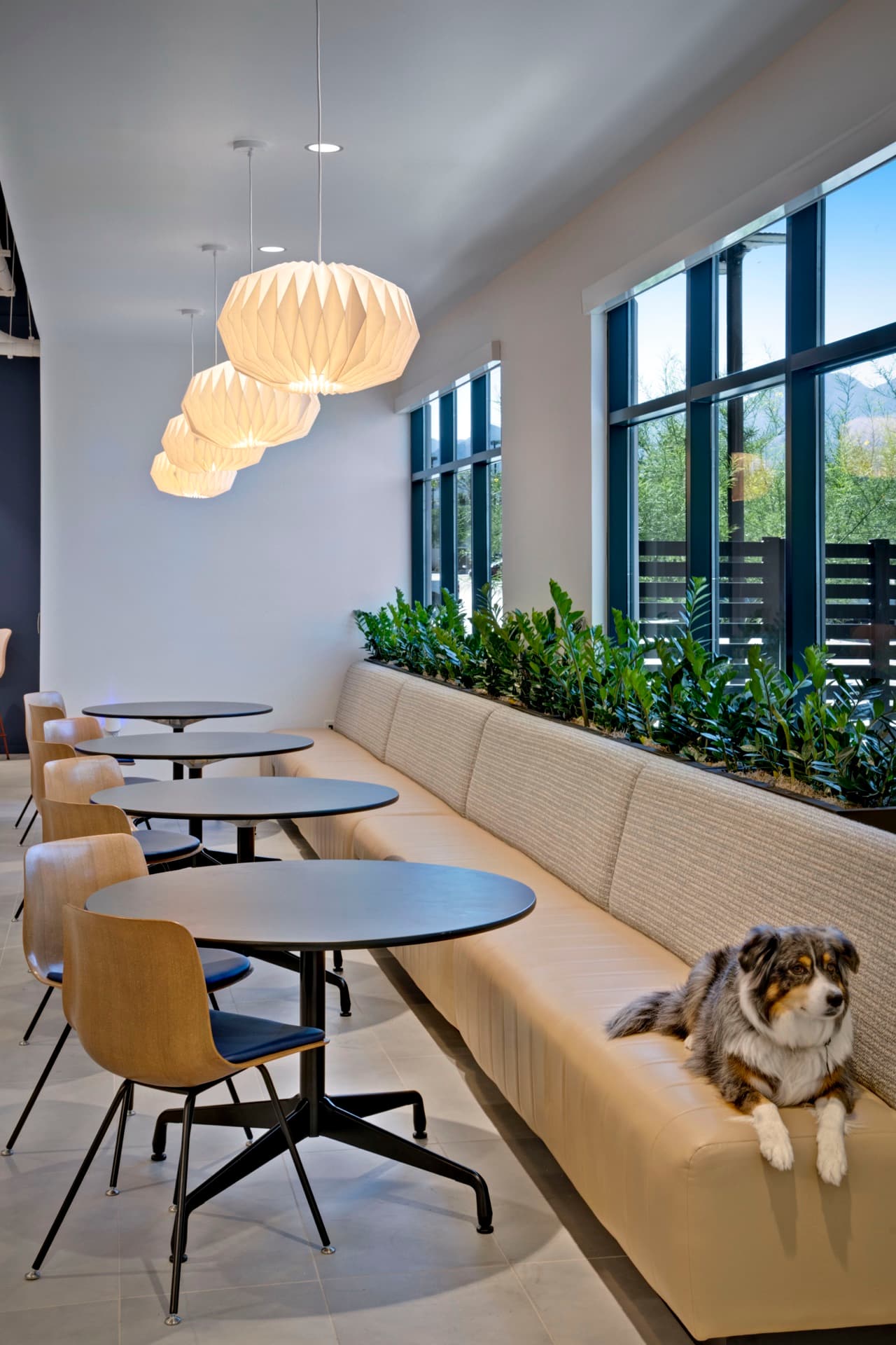 Ovation Headquarters Office — photo 8